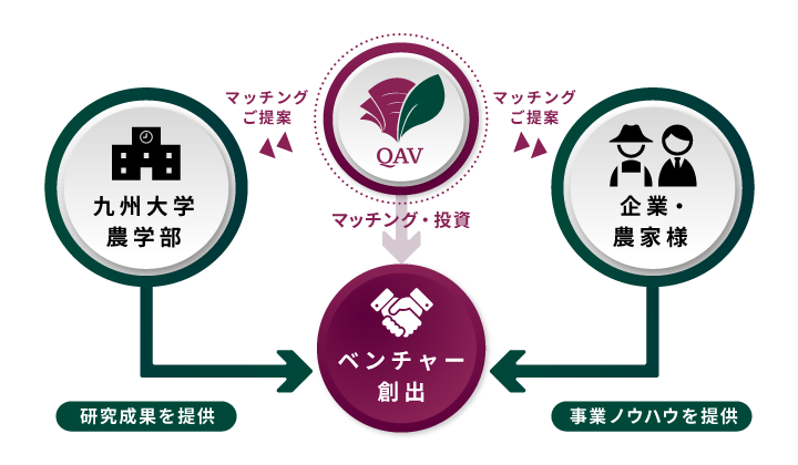 株式会社九大アグリベンチャー［QAV］のマッチング事業イメージ